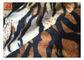 100% Polyester Polyester Tricot Fabric Knitted Tiger Skin Printed Design